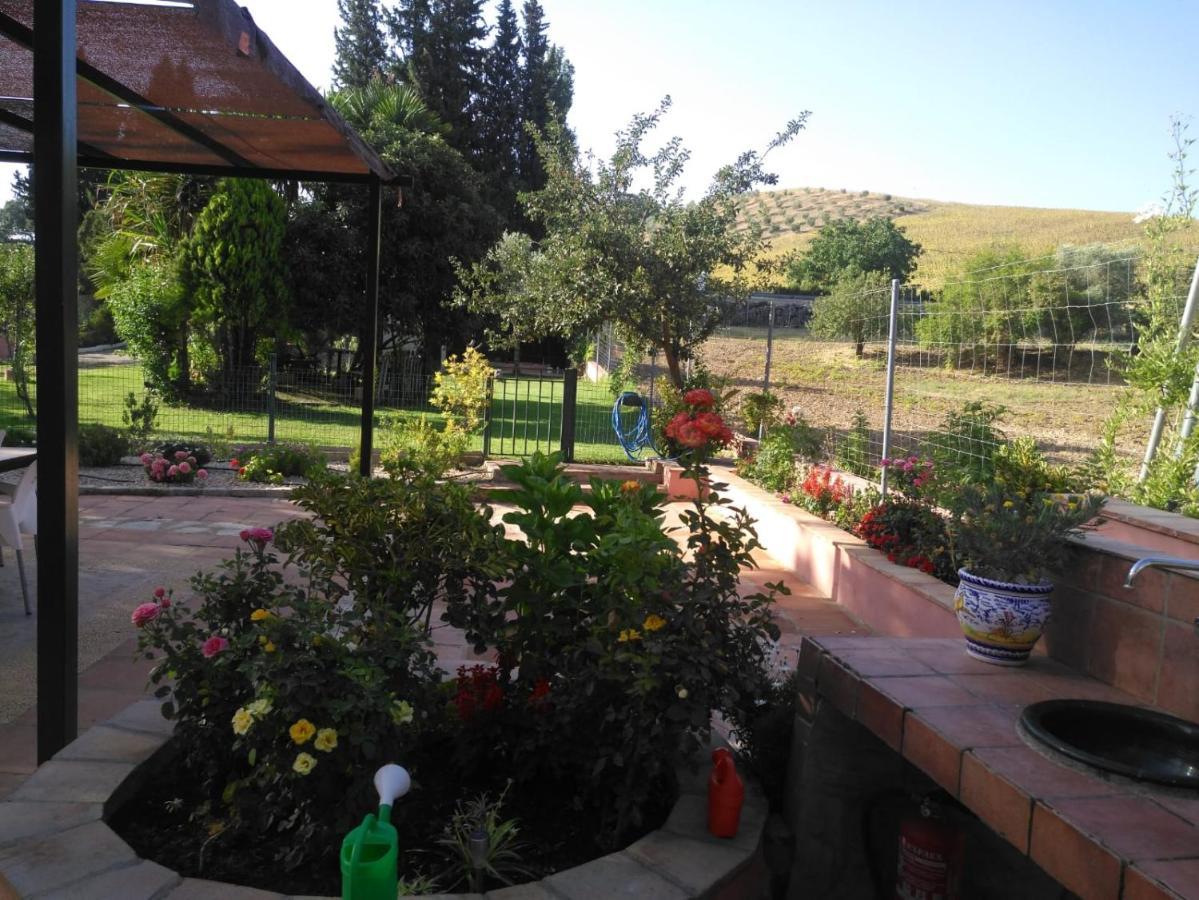 Casa Rural Las Palmeras Ronda Eksteriør billede