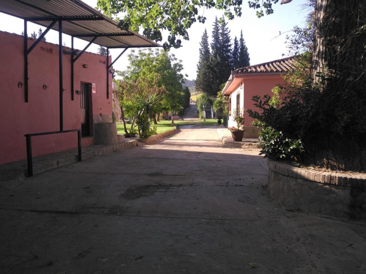 Casa Rural Las Palmeras Ronda Eksteriør billede