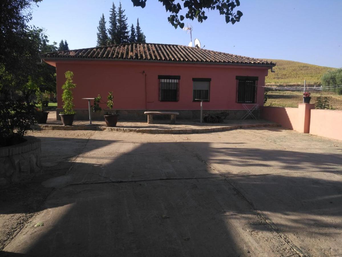 Casa Rural Las Palmeras Ronda Eksteriør billede