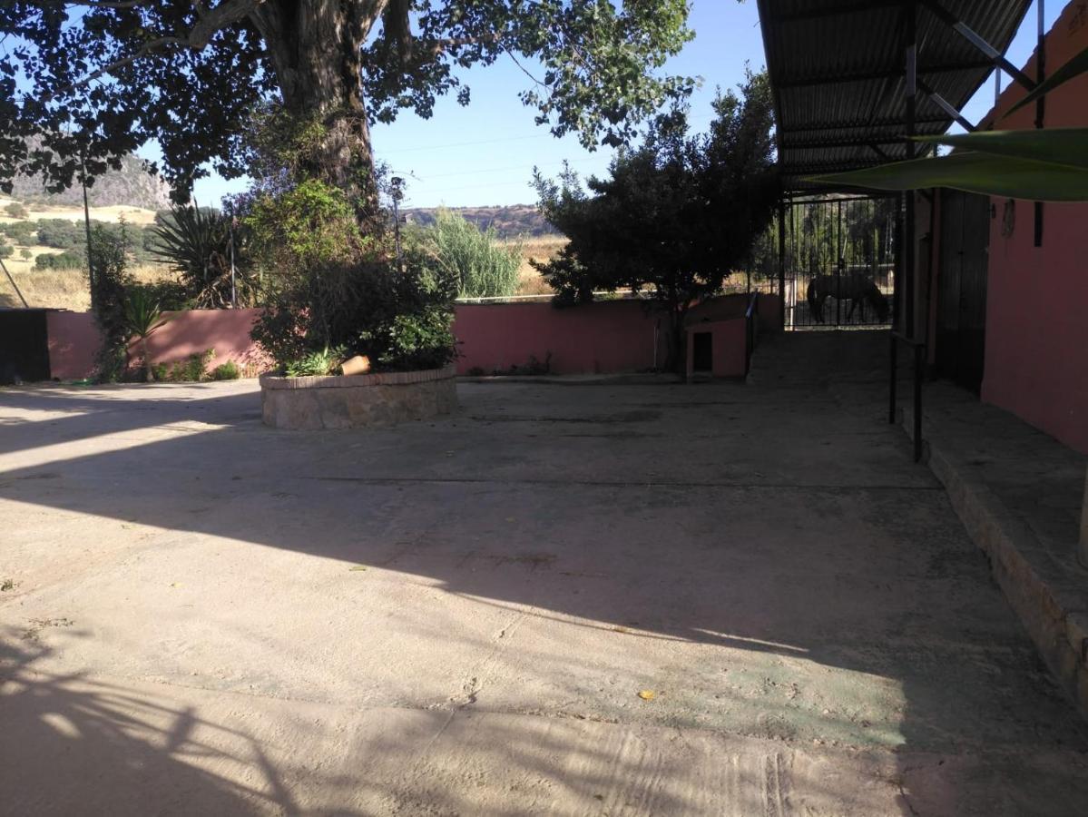 Casa Rural Las Palmeras Ronda Eksteriør billede